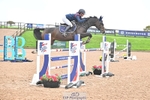 Cls 3 Foxhunter and 1.20m portfolio