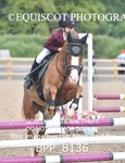 CLASS 11 SUN  Club/ Unaffiliated 60cms Open portfolio
