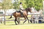 SBM_14849