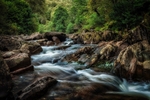 Callander_RLP71872a