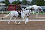 SBM_00178