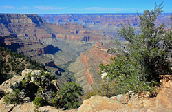 Grand Canyon-South Rim portfolio