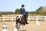 SBM_013219