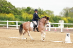 SBM_005981