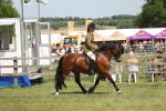 SBM_06892