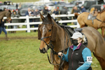 PtP 020122 504