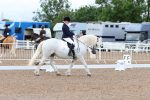 SBM_00285