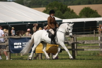 SBM_09138