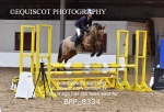 BPP_8334