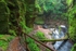 Finnich Gorge