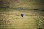 Sale Fell-685
