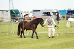 SBM_00631