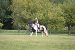 WJ6_1434