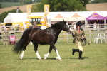 SBM_09233