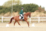 SBM_003397