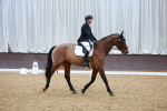 SBM_001391