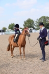 Class 309 Lead Rein Pony portfolio
