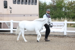 SBM_00004