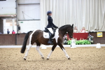 SBM_016323