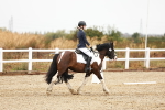 SBM_001478