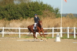 SBM_000147