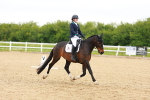 SBM_006631