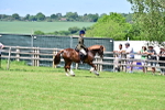 SBM_07946