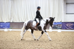 SBM_016340