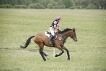 BVHT 140517  NXC -472