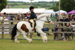 SBM_06258