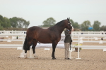Class 13 Young Handler portfolio