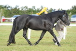 DSC04919