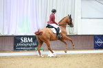 SBM_004417