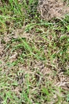 SBM_03527