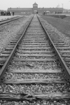 Black and White image of Auschwitz II-Birkenau