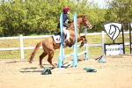 SBM_000801