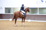 SBM_000481