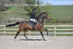BPP_2928
