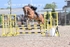 BPP_3483