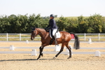 SBM_002877