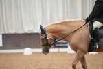 SBM_002184