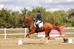 SBM_006235