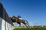 010124-Race 2-Belle Na Bann-5331