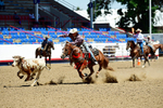 3HRodeo8-11-25_PRCASteer_03550_