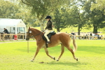 SBM_62503