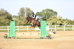 SBM_005334