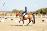 SBM_017296