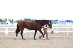 SBM_04987