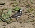 20110422-IMG_4712