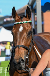 300526-Race 7-Anificas Beauty-7239